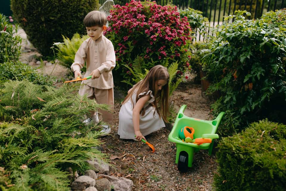 Gardening