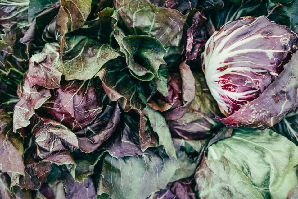Bitter salad leaves