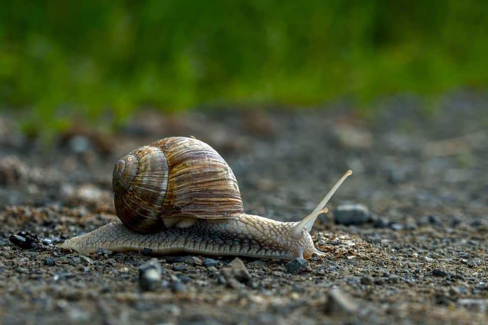 Slow Internet